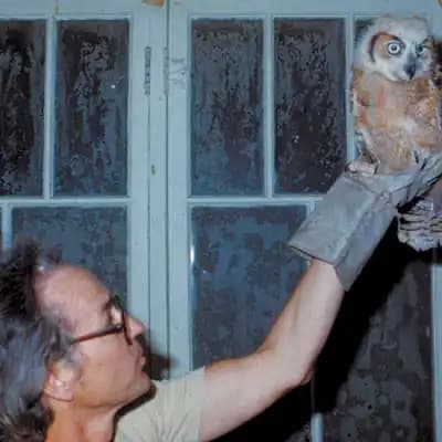 The Archives of Falconry Inductee image