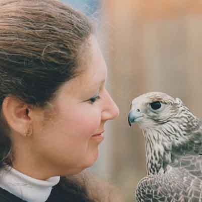 The Archives of Falconry Inductee image