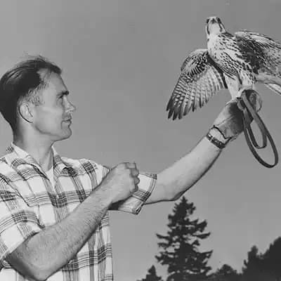 The Archives of Falconry Inductee image