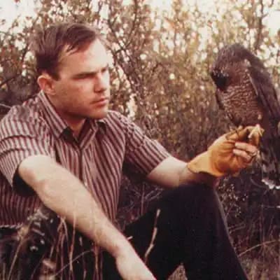 The Archives of Falconry Inductee image