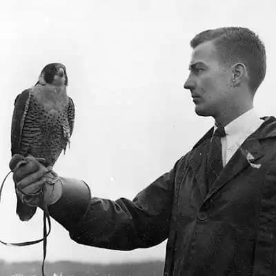 The Archives of Falconry Inductee image