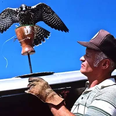 The Archives of Falconry Inductee image