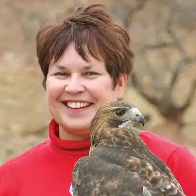 The Archives of Falconry Inductee image