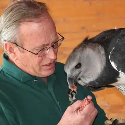 The Archives of Falconry Inductee image