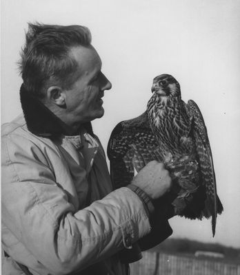 The Archives of Falconry Inductee image