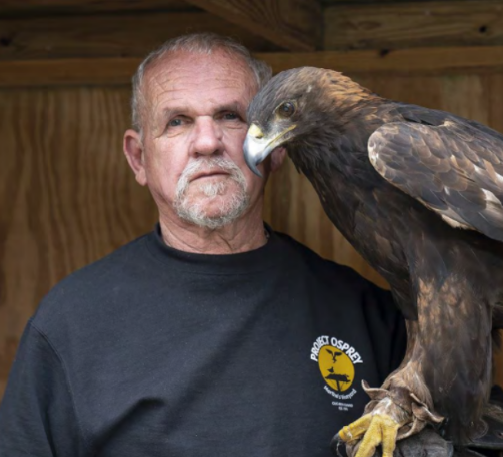The Archives of Falconry Inductee image